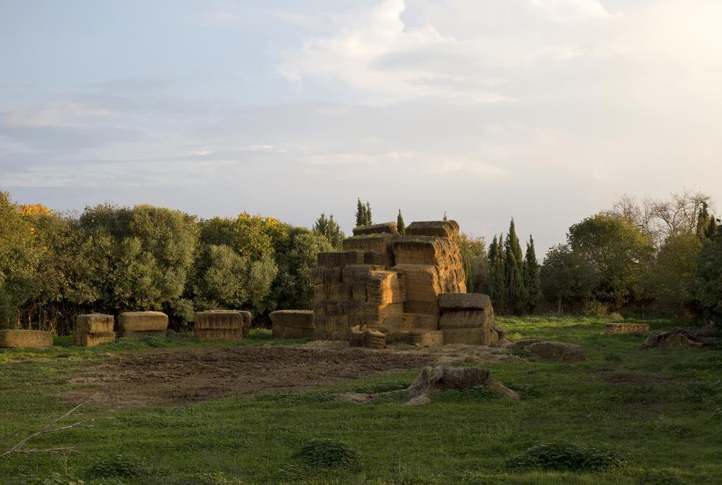 Cuevas Del Pino Turismo Rural Y Emocional Sl Villarrubia Eksteriør billede