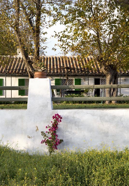Cuevas Del Pino Turismo Rural Y Emocional Sl Villarrubia Eksteriør billede