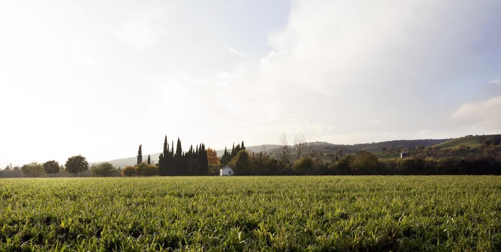 Cuevas Del Pino Turismo Rural Y Emocional Sl Villarrubia Eksteriør billede