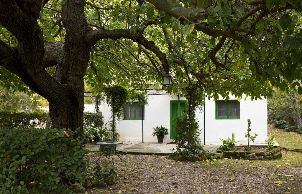 Cuevas Del Pino Turismo Rural Y Emocional Sl Villarrubia Eksteriør billede