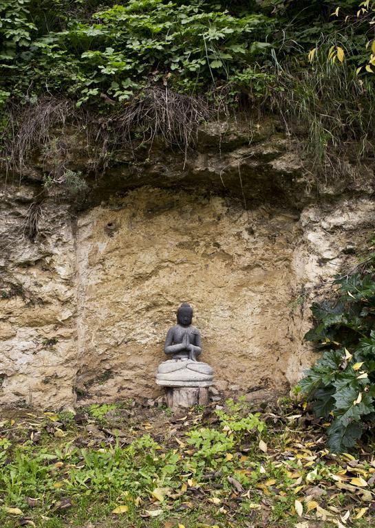 Cuevas Del Pino Turismo Rural Y Emocional Sl Villarrubia Eksteriør billede