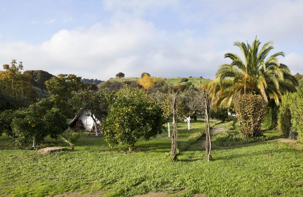 Cuevas Del Pino Turismo Rural Y Emocional Sl Villarrubia Eksteriør billede