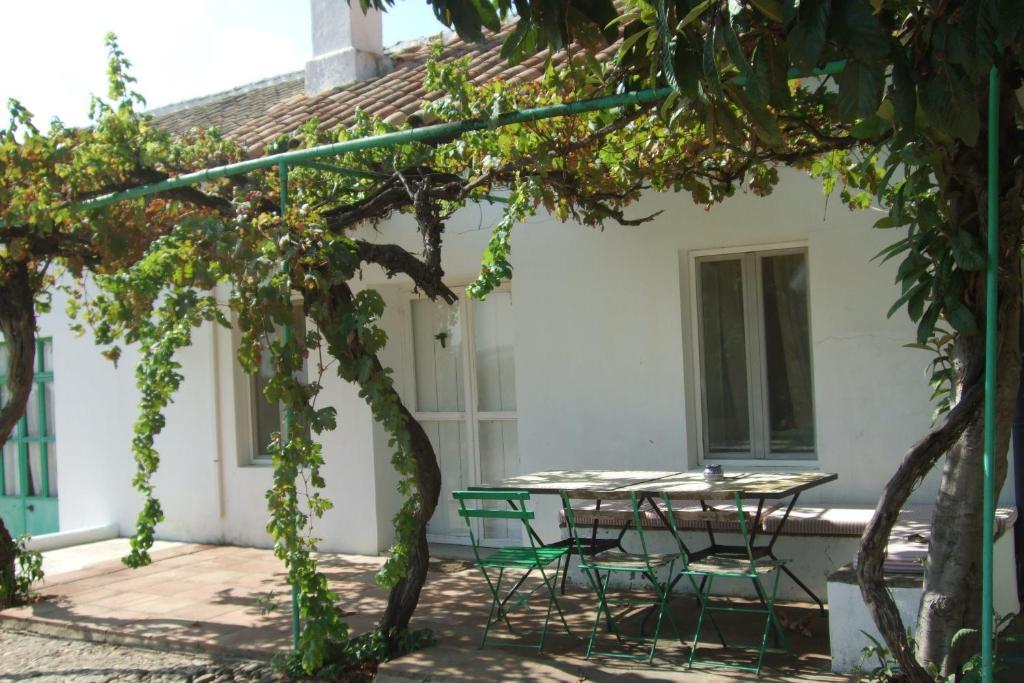 Cuevas Del Pino Turismo Rural Y Emocional Sl Villarrubia Værelse billede